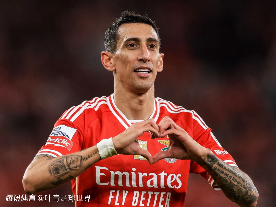 窗口期突围战来临,本菲卡围绕德国杯完成体检,管理层满意,年轻球员得到机会的简单介绍 窗口期突围战来临,本菲卡围绕德国杯完成体检,管理层满意,年轻球员得到机会的简单介绍